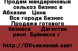 Продам мандариновый сельхоз-бизнес в Абхазии › Цена ­ 1 000 000 - Все города Бизнес » Продажа готового бизнеса   . Дагестан респ.,Буйнакск г.